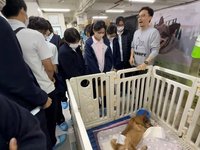 義工小組到AAPAM澳門保護遺棄動物協會參觀體驗